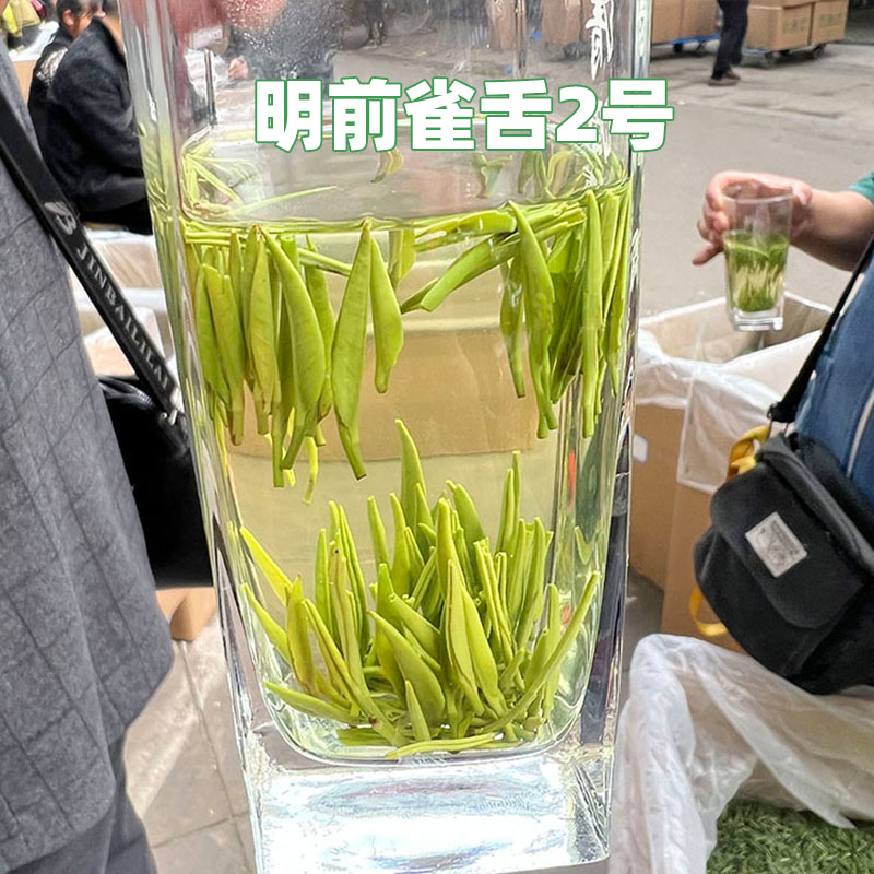 2024新茶四川雅安绿茶蒙顶雀舌毛峰竹青叶茶叶清香型老茶客口粮茶