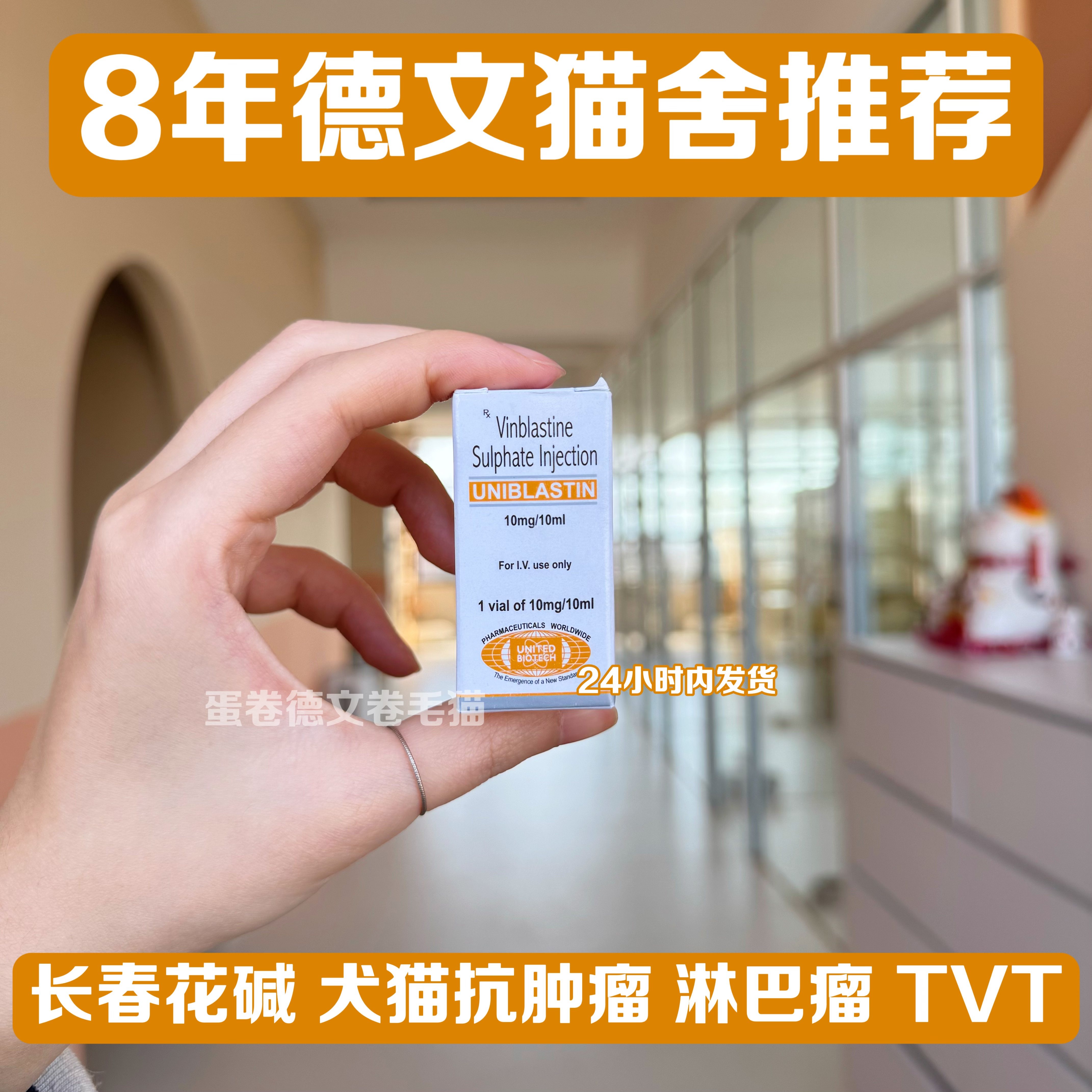 【顺丰冷链空运】长春花碱10mg/瓶犬猫淋巴瘤TVT肿瘤化疗