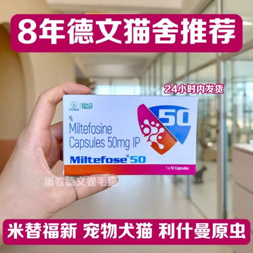 印度50mg米替福新宠物犬猫利什曼特效药10粒