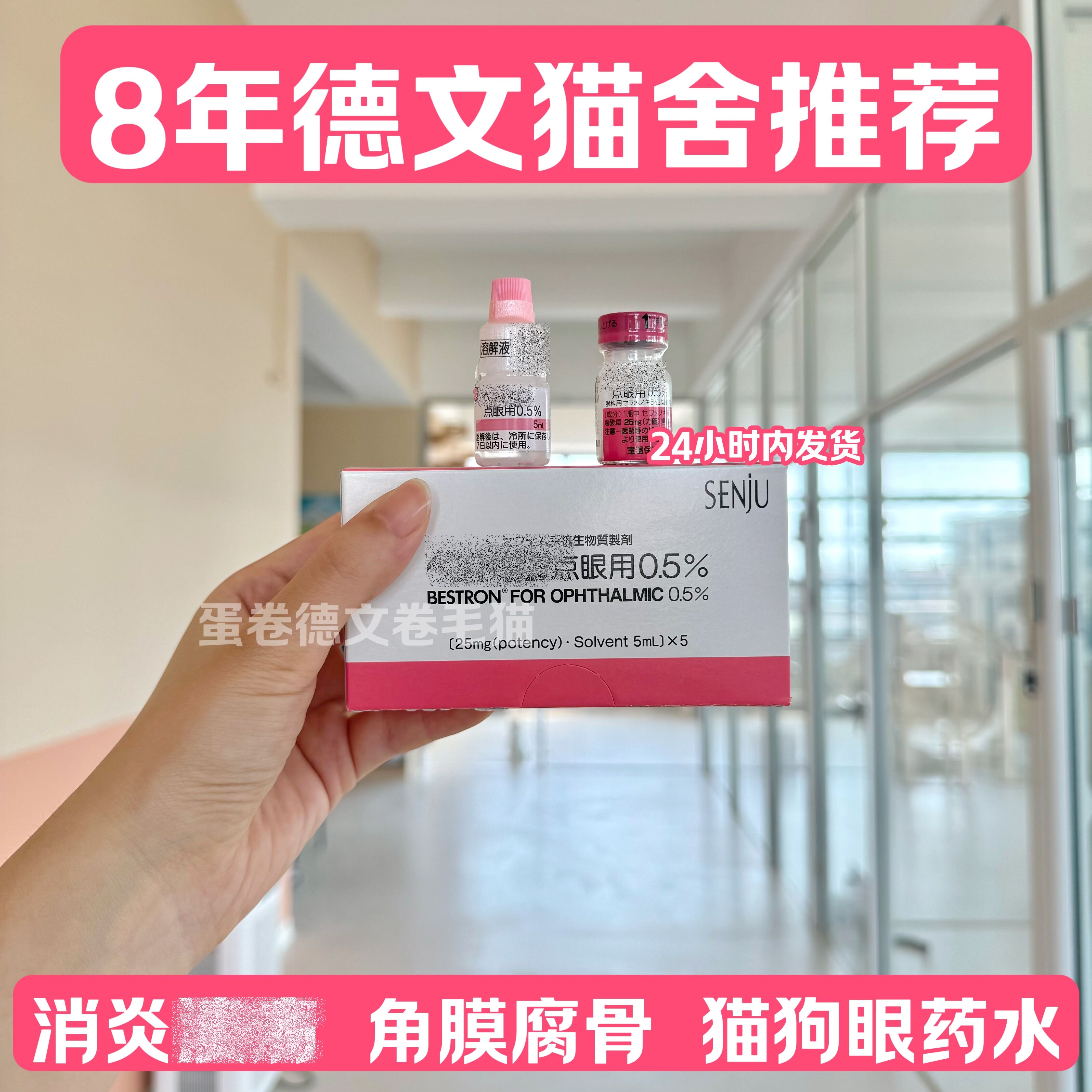 千寿日本滴眼液宠物猫狗用