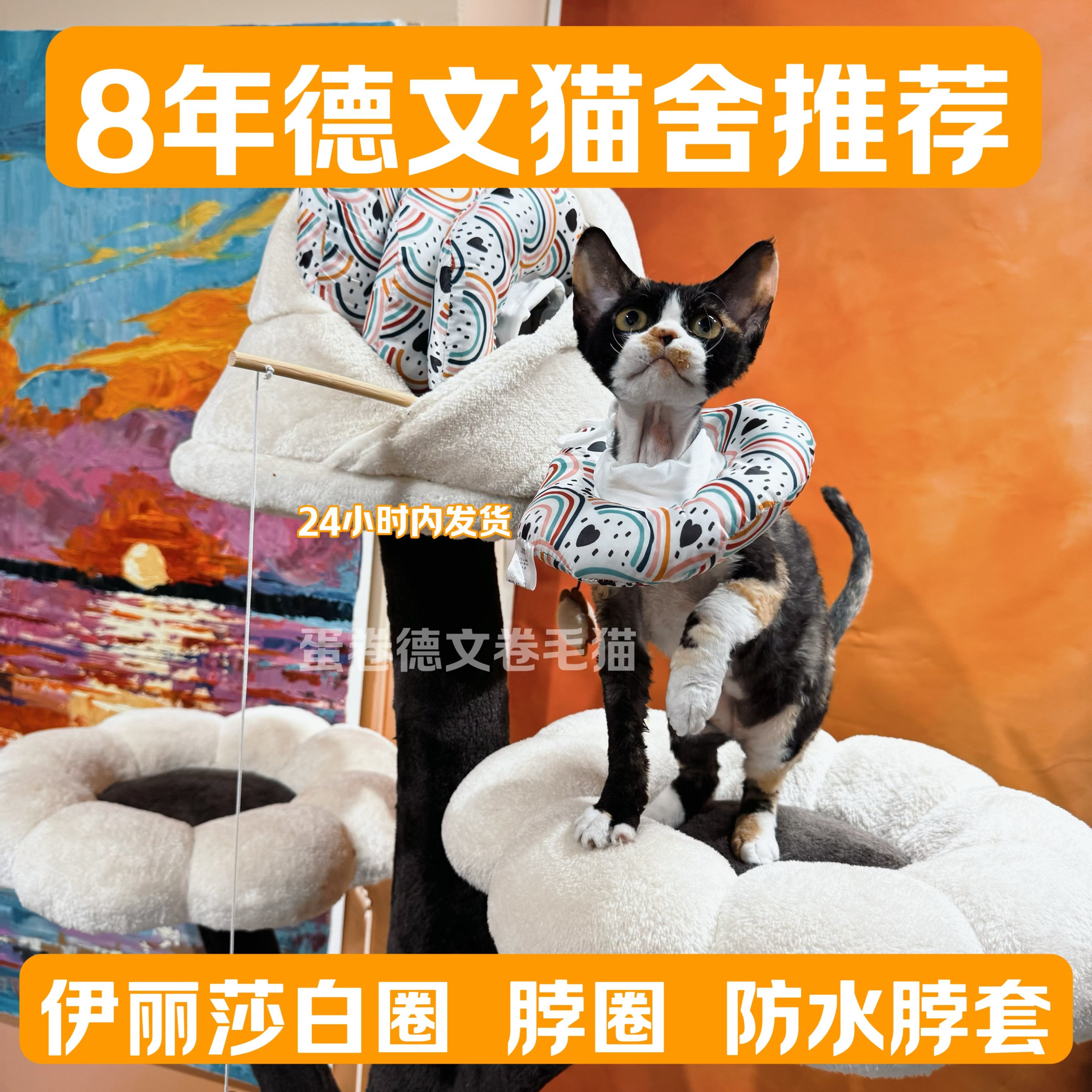 伊丽莎白圈猫咪狗狗绝育术后防抓防舔舐项圈猫舍同款,宠物/宠物食品及用品,宠物伊丽莎白圈,淘宝优惠券,粉丝福利购,淘宝优惠卷