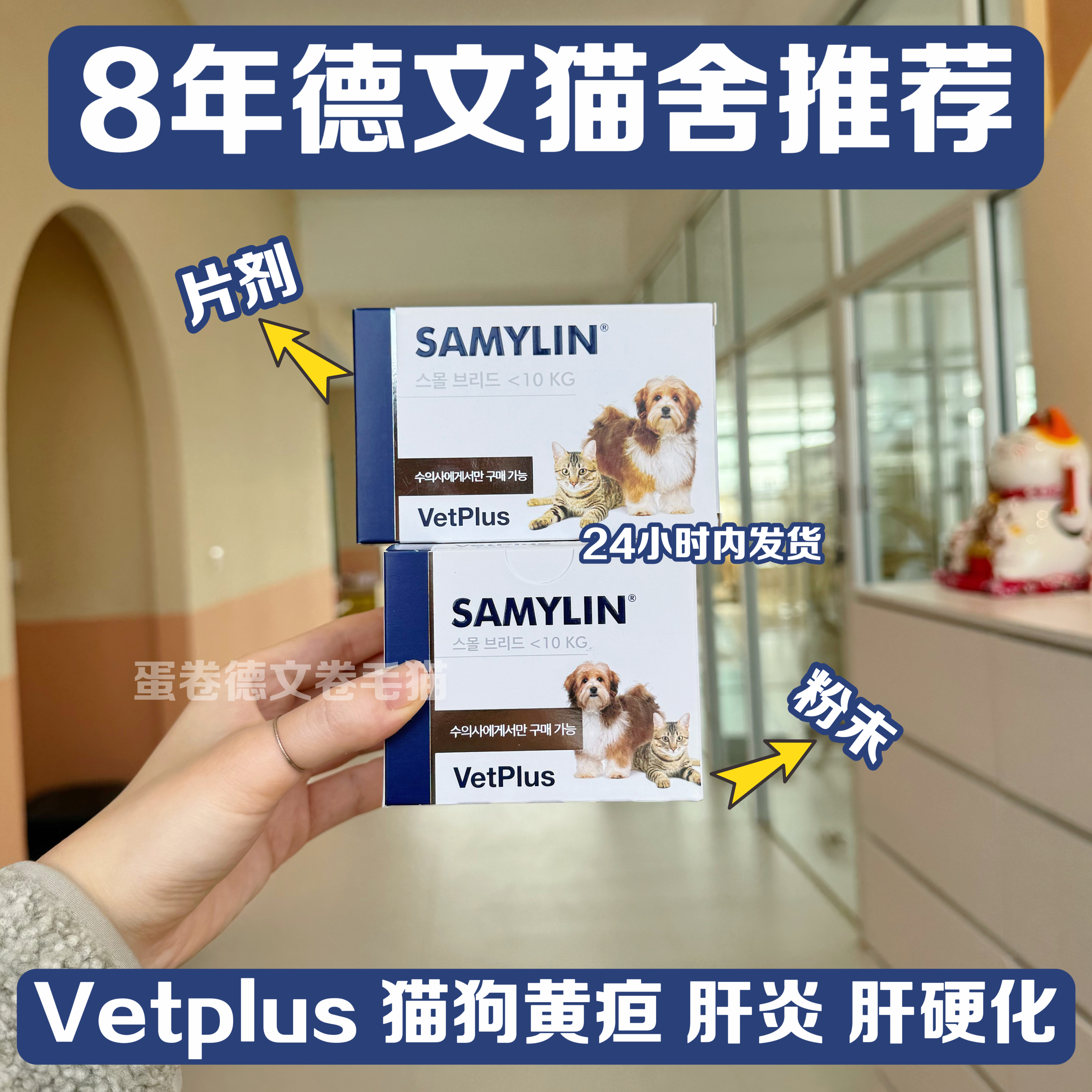 韩版现货 英国Vetplus Samylin猫狗黄疸肝yan肾衰竭肝硬化保护肝