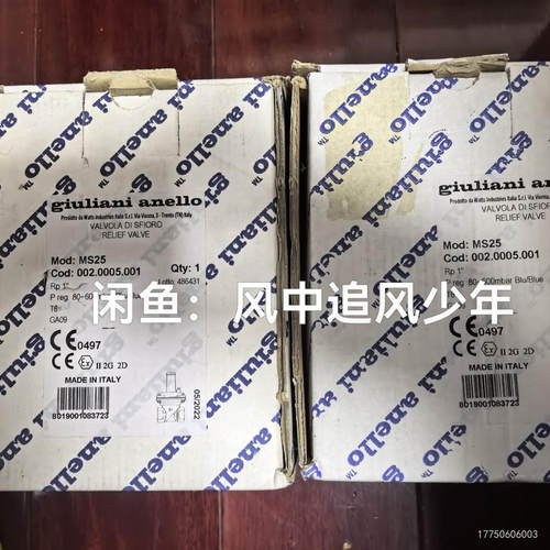 意大利Giuliani anello安全阀MS25