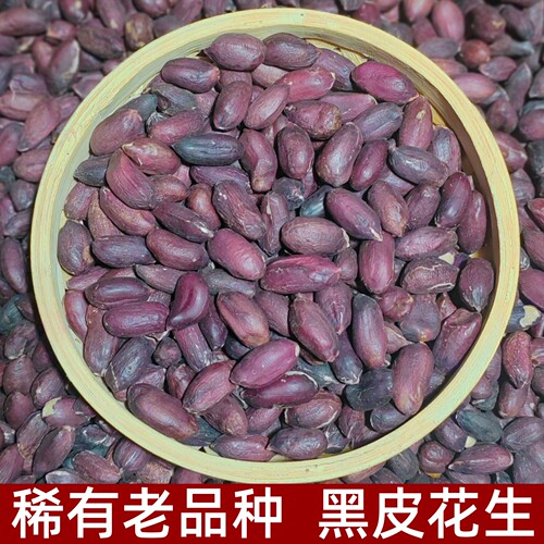 【稀有老品种】2025年新货黑皮花生米黑紫生花生新鲜去壳晒干营养