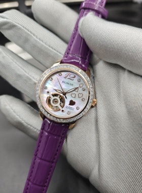 国货名品雷迈女装8030L进口机芯33mm全自动机械表特价单表