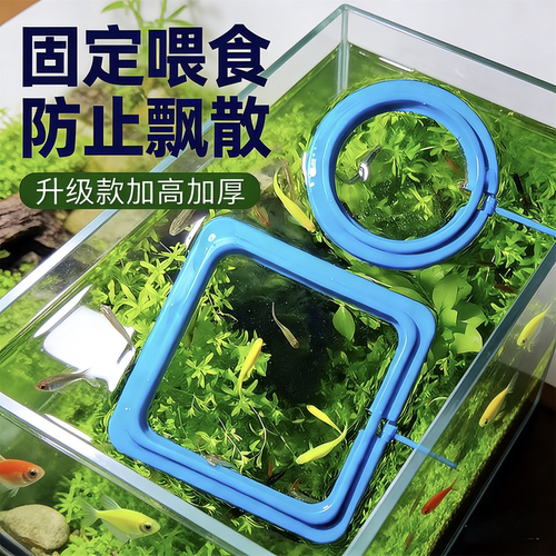 鱼缸喂食圈鱼食饲料投食圈