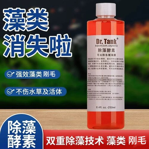 坦克除藻酵素去除各种藻类问题