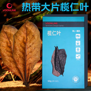 沃韦朗榄仁叶水族鱼缸PH酸碱度调节懒人叶降酸改善水质树叶揽仁叶