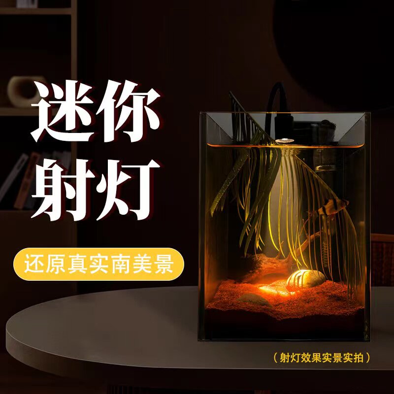 生态水族鱼缸专用南美射灯光源高