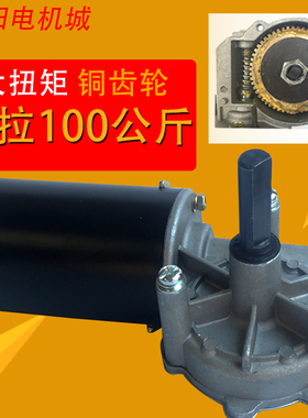 涡轮蜗轮蜗杆减速电机24v 80w90w100w涡轮直流减速机铜涡轮卷闸门