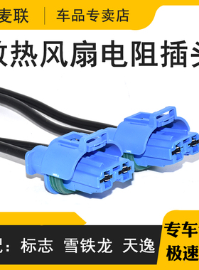 DJ7021YA-8-21汽车连接器接插件插头2P大电流电子风扇插件2孔蓝色