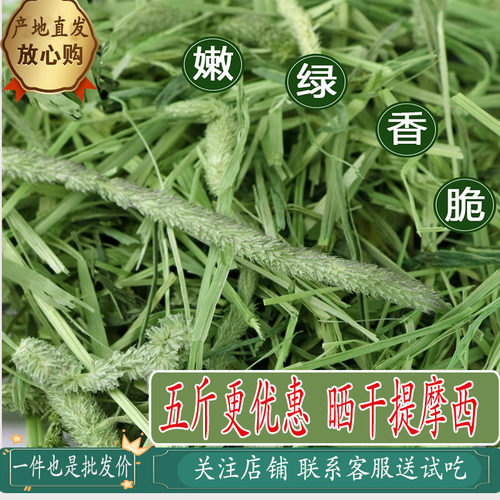 25年晒干提摩西草兔子干草荷兰猪猪粮龙猫牧草晒干北提岷县产500g