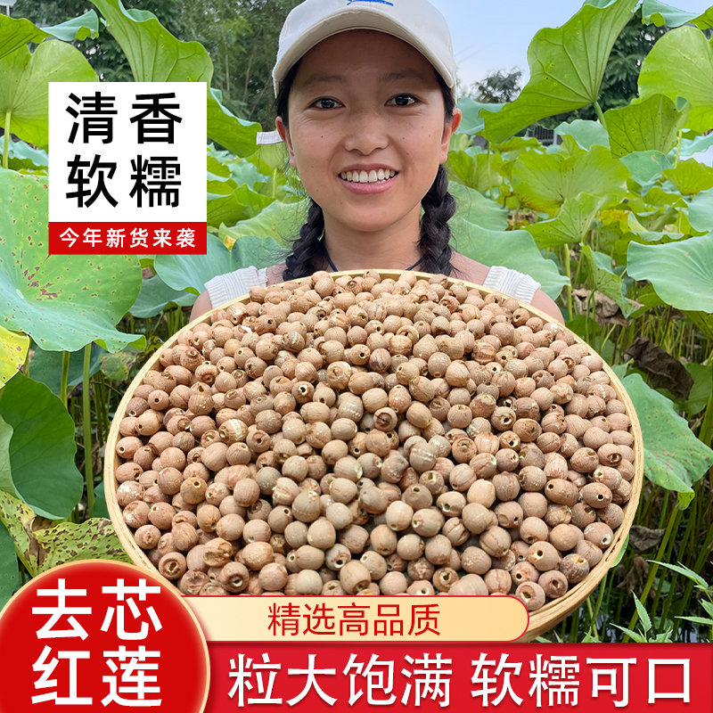 正宗湘潭红莲子干货500g去芯带皮莲子250g新货无硫粉糯莲子百合羹