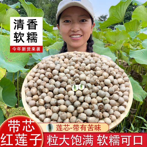 精选湘潭高品质带芯红莲子