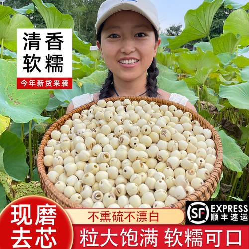 湘小暖湘潭去芯磨皮白莲子