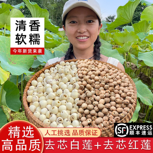 湘小暖湘潭白莲子250g红莲子250g组合装去芯莲子煮粥煲汤顺丰包邮