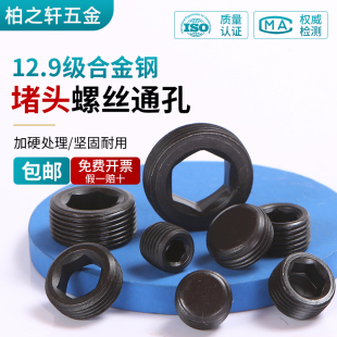 12.9级通孔堵头喉塞细牙英制PT 12MM NPT盲孔紧定公制油堵6