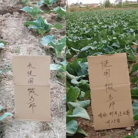 微多邦土壤修复剂，新概念生物土壤还原剂