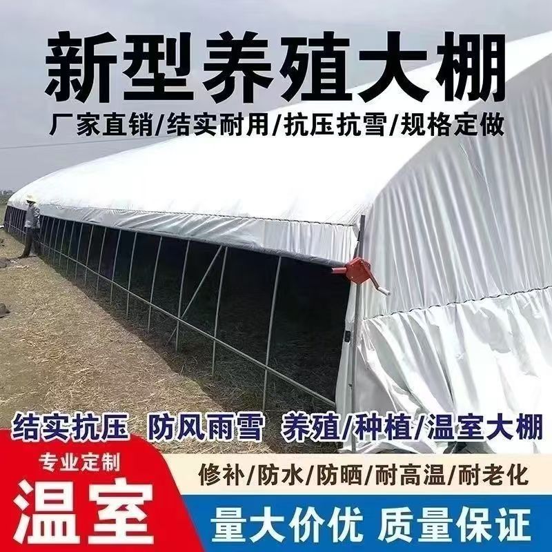 大棚骨架养殖大棚全套温室大棚鸡鸭猪牛羊蔬菜大棚育苗种植大棚
