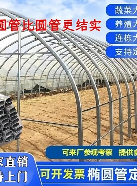 种植大棚支架全套骨架蔬菜育苗棚温室养殖大棚椭圆管钢架鸡棚猪棚
