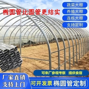 新型养殖大棚全套大棚钢管骨架拱架温室蔬菜大棚养鸡鸭猪牛羊骨架