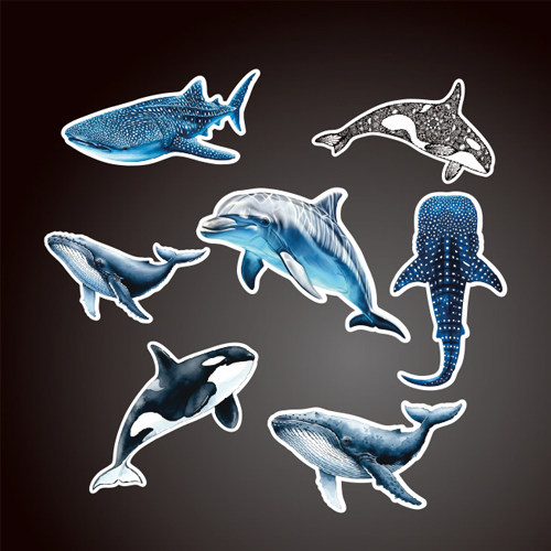 水肺潜水鲸鲨虎鲨蓝鲸座头鲸潜水贴纸汽车车贴支持定制贴纸6308