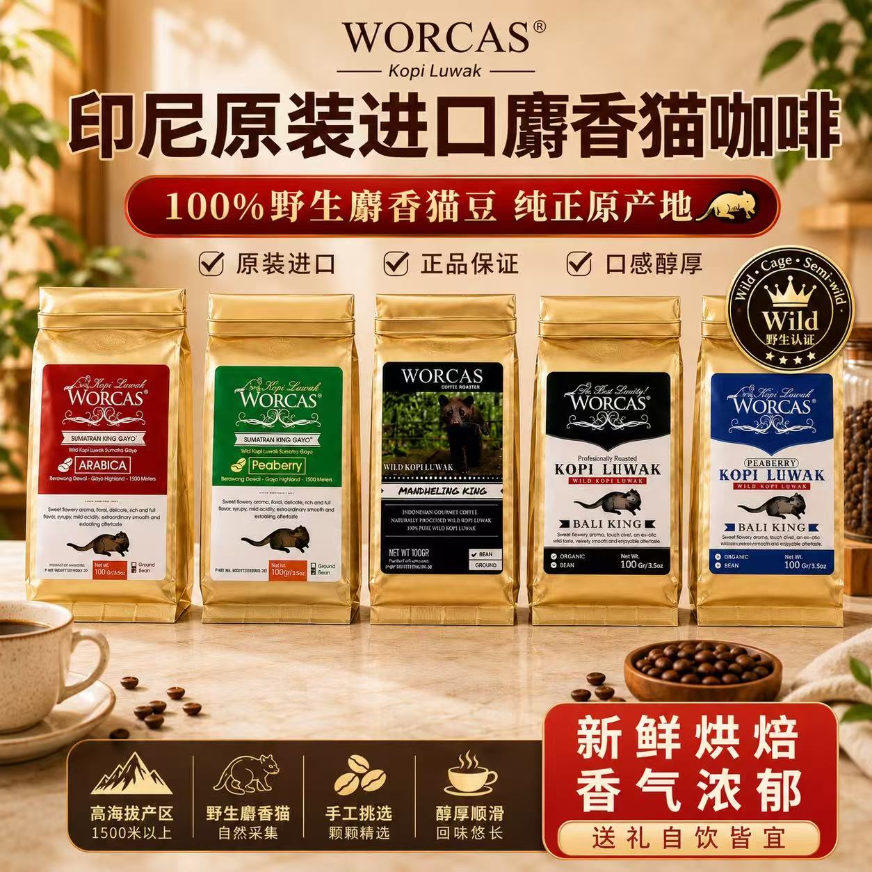 WORCAS曼特宁猫屎咖啡苏门答腊高地阿拉比卡咖啡中深度烘培黑咖啡