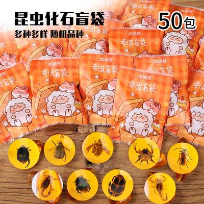昆虫琥珀盲袋标本盲盒