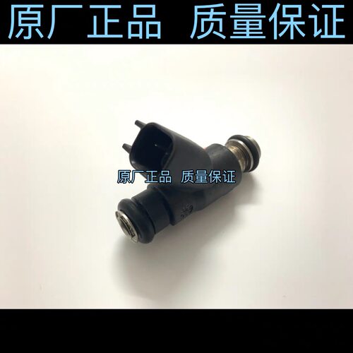 宗申赛科龙RT3原厂喷油嘴ZS250T-3喷油嘴