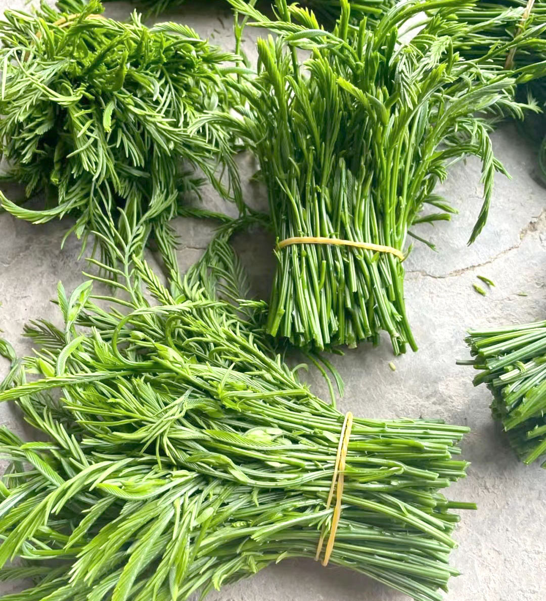 包邮云南傣族臭菜 野菜合金欢泰国吃播臭菜 新鲜帕哈煮鸡蛋250克