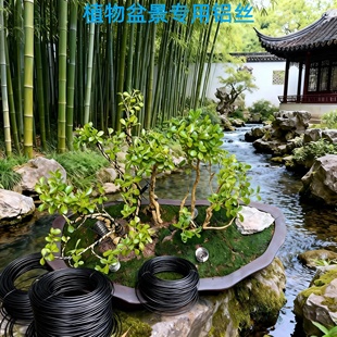 金枝玉叶绿植造型铝丝盆景专用吕丝压枝固定线植物铝线绑花铝丝