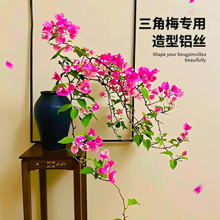 三角梅定型diy园艺造型用铝丝软铝线盆景制作整形蟠扎盘扎枝条