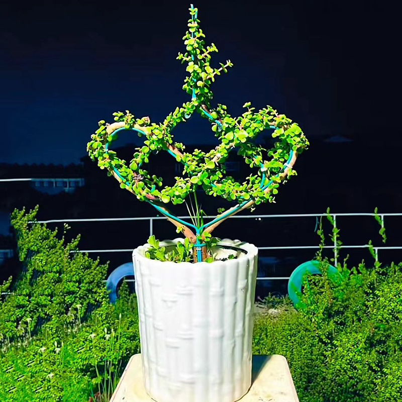盆景造型盆景造型专用铝线铝丝 果架手工模型diy 扎花支架多用途