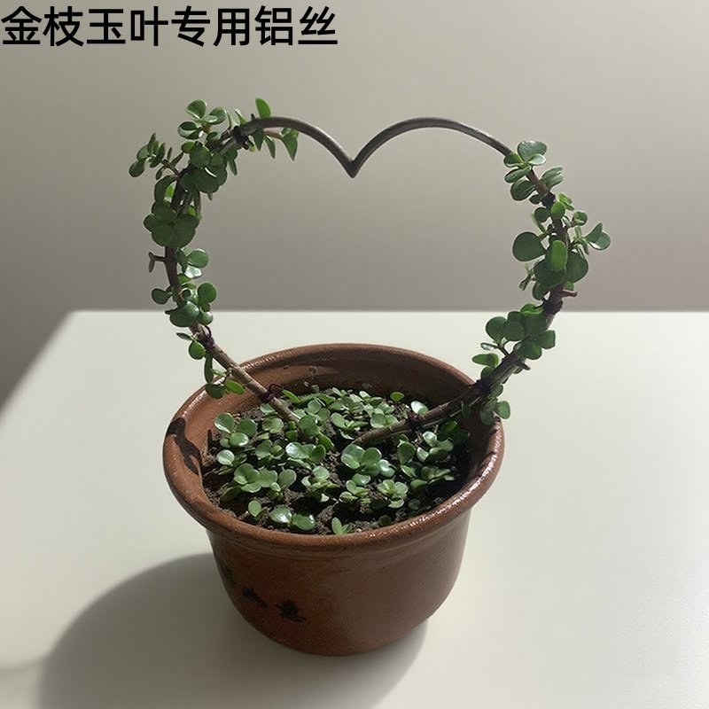金枝玉叶专用盆景造型铝丝铝线盘扎铝丝线蟠扎园艺铁丝花卉定型,鲜花速递/花卉仿真/绿植园艺,其它园艺用品,淘宝优惠券,粉丝福利购,淘宝优惠卷