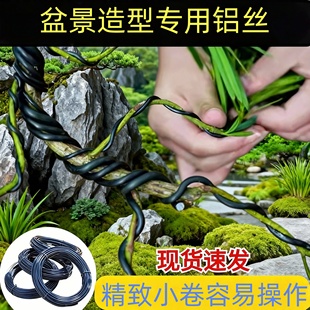 金枝玉叶绿植造型铝丝盆景专用吕丝压枝固定线植物铝线绑花铝丝