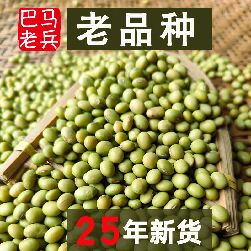 广西巴马农家自种免邮绿皮小黄豆