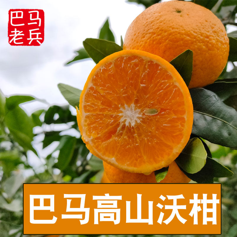 巴马沃柑广西正宗甜新鲜水果沃柑橘子非桔子当季9斤整箱,水产肉类/新鲜蔬果/熟食,桔子,淘宝优惠券,粉丝福利购,淘宝优惠卷