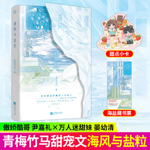 海风与盐粒小说实体书 【随书附赠】新生代人气作者sissycici校园力作青梅竹马双向奔赴青春校园言情小说 新增未公开番外《求婚》