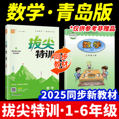 025新版数学青岛版拔尖特训