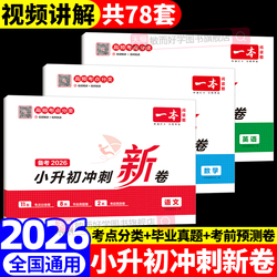 2026一本小升初真题冲刺新卷全套