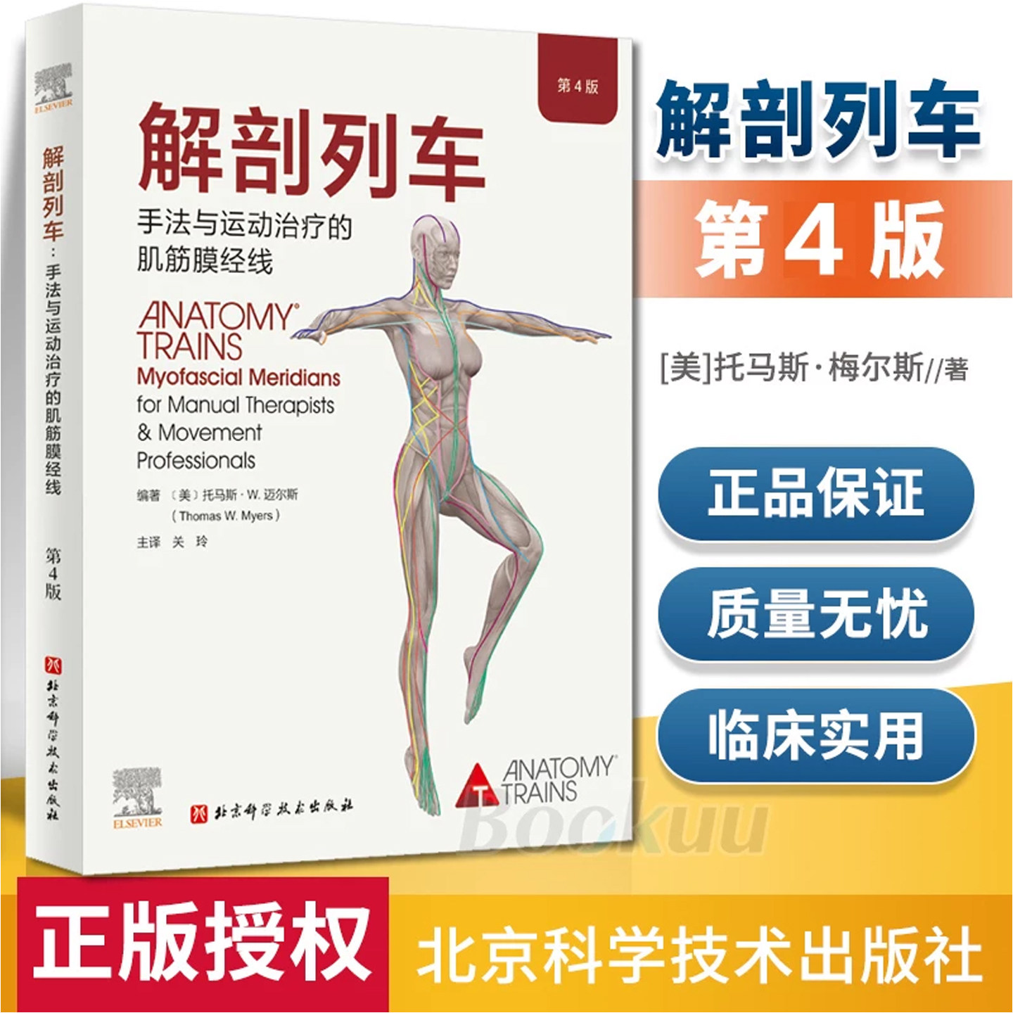 解剖列车—手法与运动治疗的肌筋膜经线身体解读如何利用解剖列车肌筋膜线进行视觉评估解剖医学筋膜连续链条手法运动康复原理体态