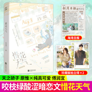 惜花天气晋江文学实体书人气作者咬枝绿著【赠拍立得+新湾日报】青春文学酸涩暗恋代表作现代言情原惟x傅润宜新增番外崇北交友琐记
