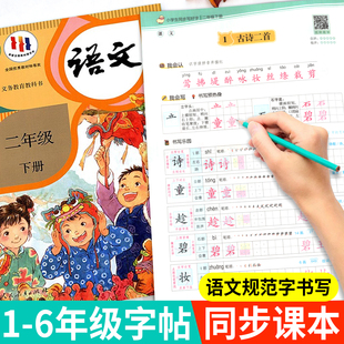 练字帖小学生专用一二年级三四五六年级上下册练字帖同步语文人教版小豆同学写好中国字寒假专项训练课课练生字词每日一练硬笔楷书