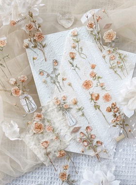 Vol.7＜玫瑰园＞AyuH原创手账轻复古百搭植物手账素材PET贴纸