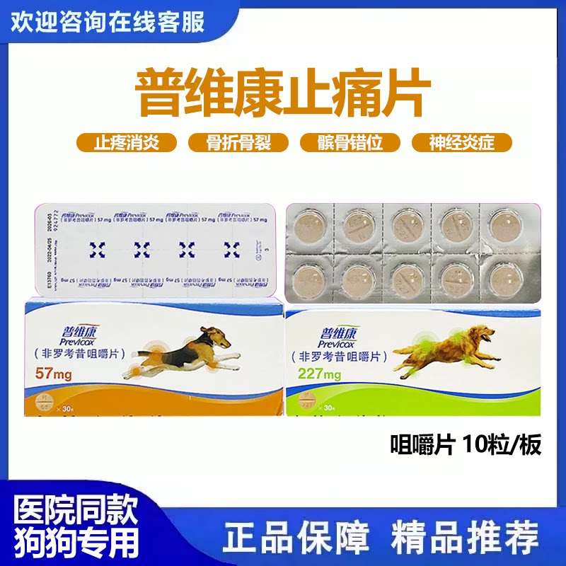 宠物狗狗骨折止疼药非罗考昔片
