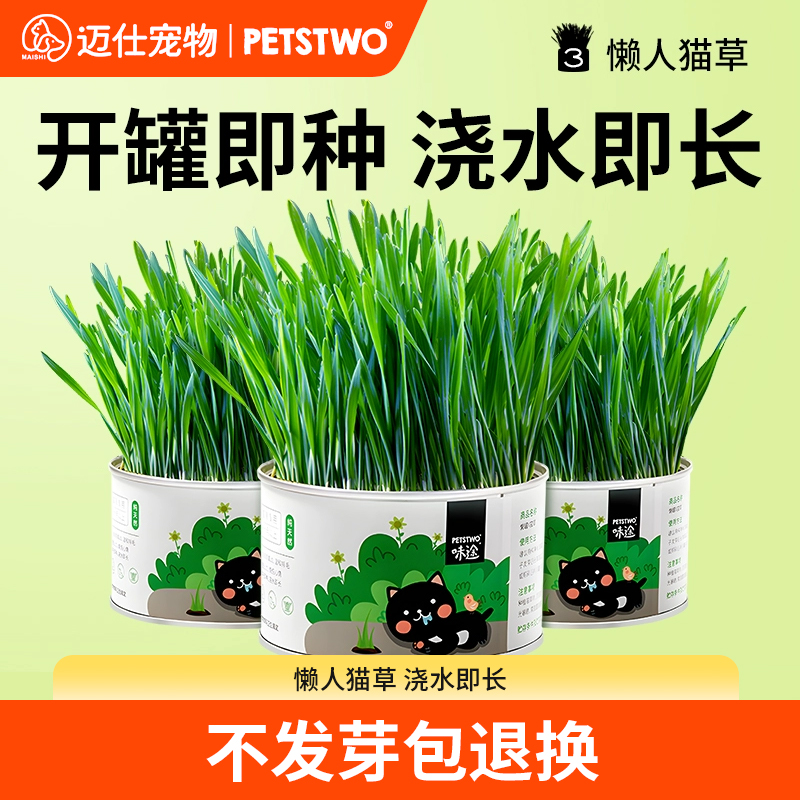 懒人猫草开罐即种不生长包退