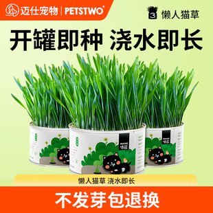 猫草盆栽猫薄荷零食助排毛球猫草棒猫咪用品小麦种子水培盒