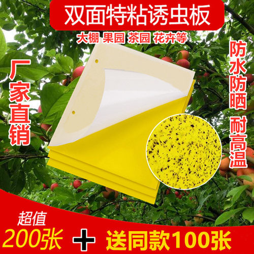 针蜂贴果园花卉大棚粘虫板