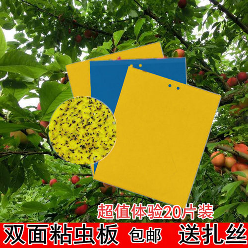 粘虫贴双面特粘诱虫板黄蓝板杀蓟马针蜂贴果蝇果茶园大棚花卉家用
