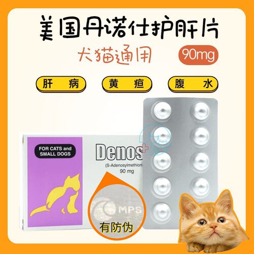 猫肝腹水素材模板-猫肝腹水图片下载- 小麦优选